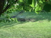 Rotační tryska RAIN BIRD